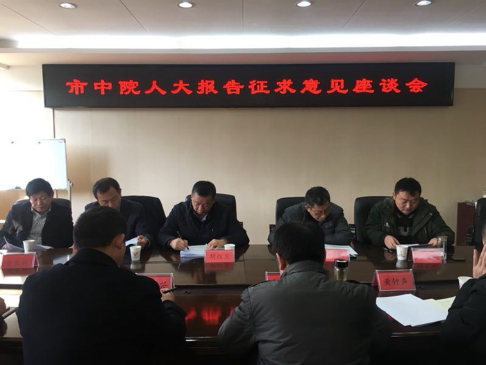 黄石市中院到铁山法院征求代表委员意见1.jpg